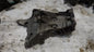 Ölfiltergehäuse für VW Audi Skoda Seat 1.8 2.0 TSI TFSI 06J903143AH ORIGINAL