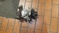 Turbolader 7823202 BMW F10 F11 530d N57N 258 PS Garrett F30 F31 F01 F25 F15