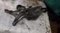 Halter Ölkühler für Audi Q5 VW  1.8 2.0 TFSI 06L903143