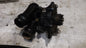 WASSERPUMPE + THERMOSTAT FÜR AUDI A3 SEAT SKODA VW GOLF TIGUAN 1.8 2.0 TSI TFSI