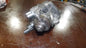 Hochdruckpumpe für BMW 3er F30 3,0 330d N57D30 N57 7823463 0445010634