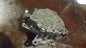 Audi VW Skoda Seat 2,0 TDI Vakuumpumpe Unterdruckpumpe Motor 03L145100F